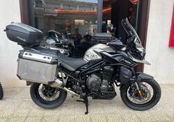 Triumph Tiger 1200 Desert Edition (2020) usata