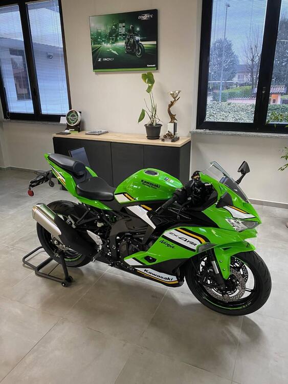 Kawasaki Ninja ZX-4RR (2024 - 25)