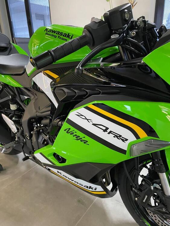 Kawasaki Ninja ZX-4RR (2024 - 25) (2)