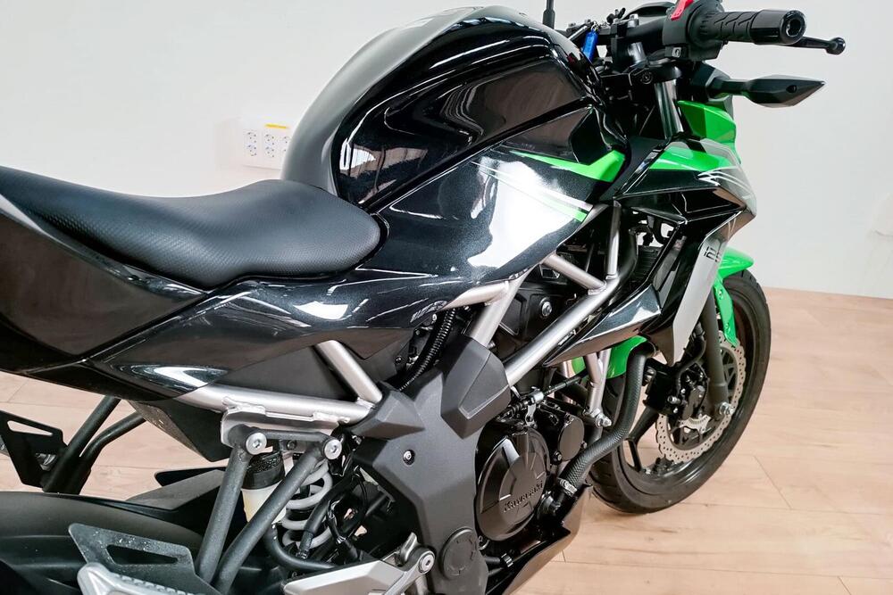 Kawasaki Z 125 (2019 - 20) (4)