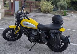 Ducati Scrambler 800 Icon (2015 - 16) usata