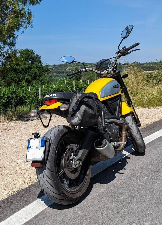 Ducati Scrambler 800 Icon (2015 - 16) (2)