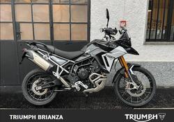 Triumph Tiger 900 Rally Pro (2024 - 25) usata