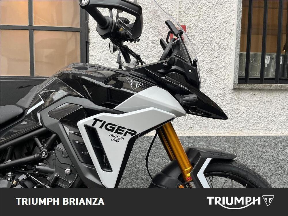 Triumph Tiger 900 Rally Pro (2024 - 25) (4)