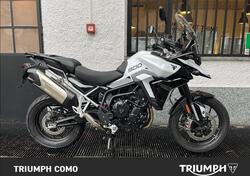 Triumph Tiger 900 GT Pro (2024 - 25) usata