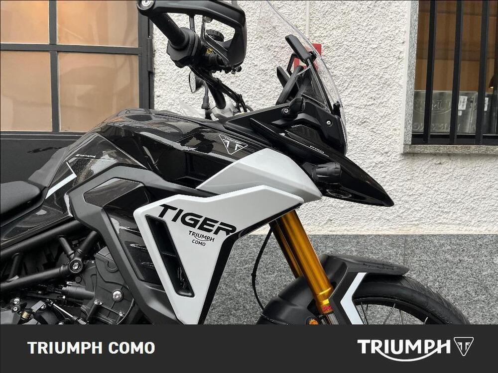 Triumph Tiger 900 Rally Pro (2024 - 25) (4)