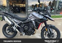 Triumph Tiger 900 GT (2024 - 25) usata