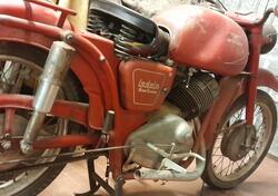 Moto Guzzi Moto Guzzi lodola 235GT - 1959 d'epoca