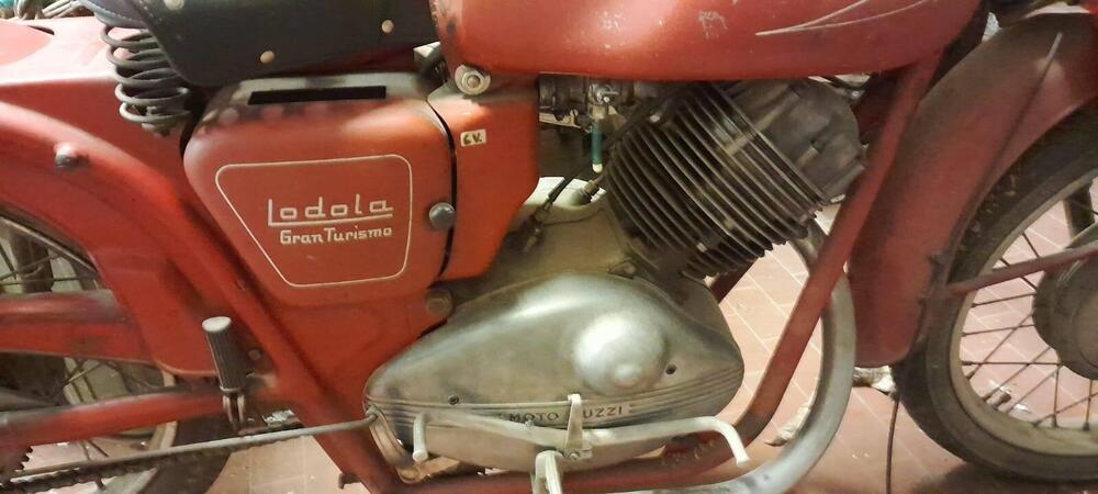 Moto Guzzi Moto Guzzi lodola 235GT - 1959 (3)