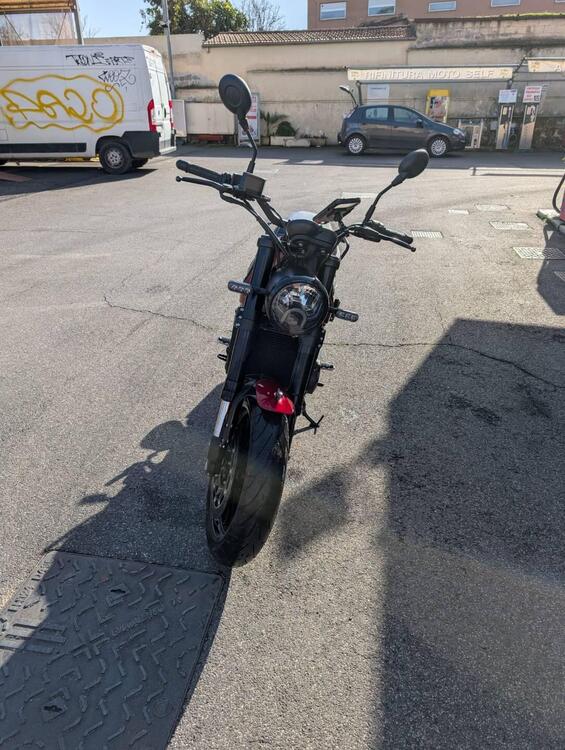 Benelli Leoncino 500 (2021 - 25) (4)