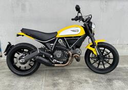 Ducati Scrambler 800 Icon (2015 - 16) usata