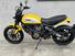 Ducati Scrambler 800 Icon (2015 - 16) (8)