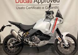 Ducati DesertX (2022 - 25) usata