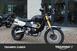 Triumph Scrambler 1200 XE (2024 - 25) (14)