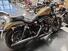 Harley-Davidson 883 Iron (2017 - 20) - XL 883N (8)