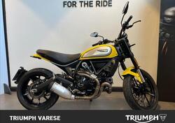 Ducati Scrambler 800 Icon (2015 - 16) usata