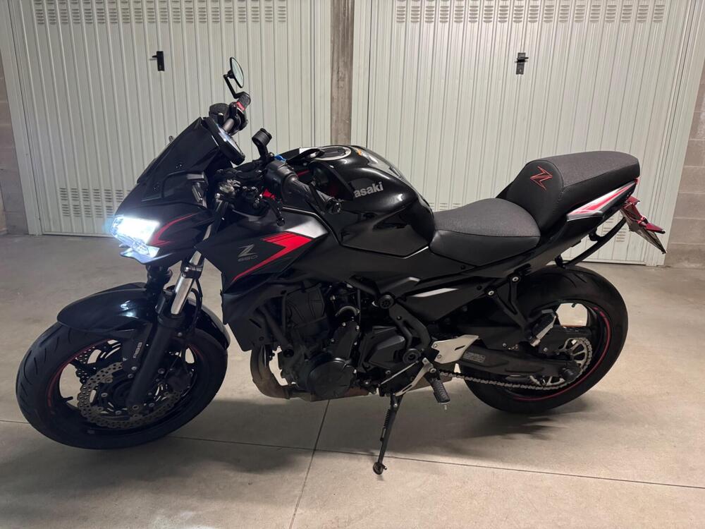 Kawasaki Z 650 (2021 - 24)