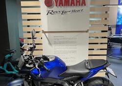 Yamaha MT-09 (2024 - 25) usata