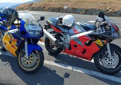 Suzuki GSX R 600 (1997 - 00) usata