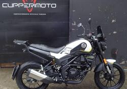 Benelli Leoncino 250 (2021 - 25) usata