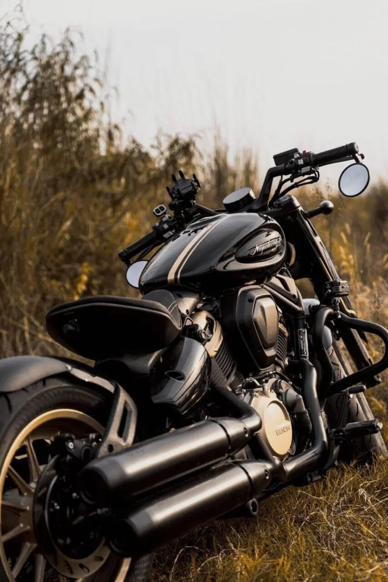 Benda Motorcycles Napoleon Bob 500 (2024 - 26) (6)