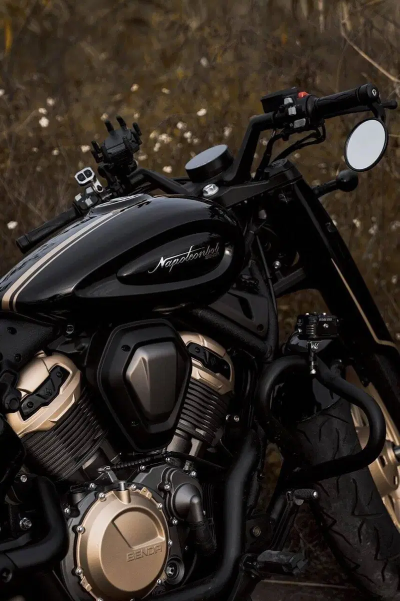 Benda Motorcycles Napoleon Bob 500 (2024 - 26) (8)