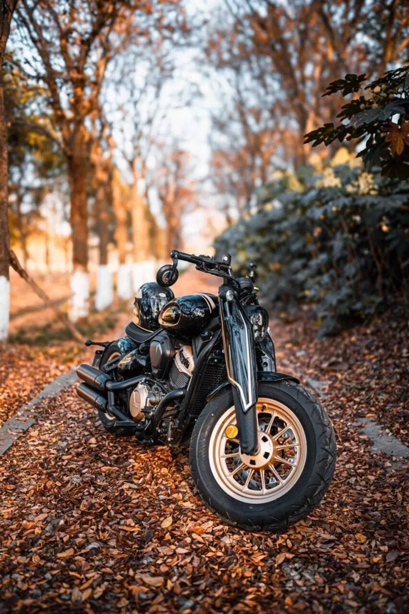 Benda Motorcycles Napoleon Bob 500 (2024 - 26) (4)