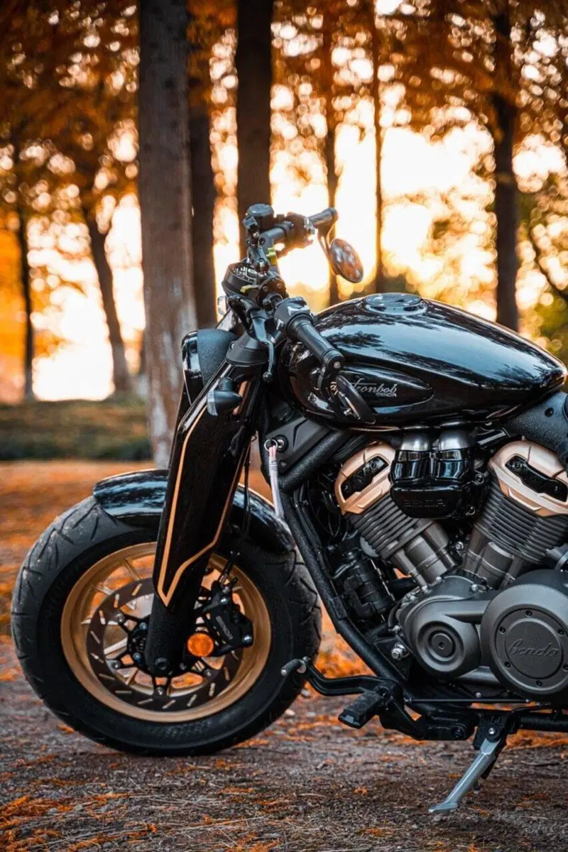 Benda Motorcycles Napoleon Bob 500 (2024 - 26) (9)