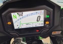 Kawasaki Ninja 1000 SX (2021 - 24) usata