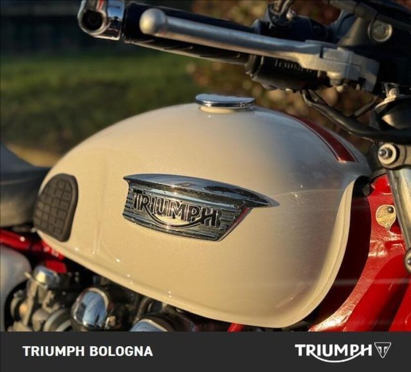 Triumph Thruxton 900 (2004 - 15) (5)