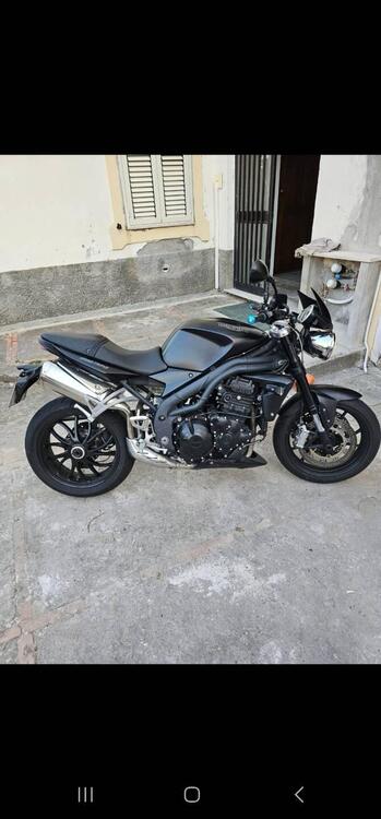 Triumph Speed Triple 1050 (2005 - 11) (2)