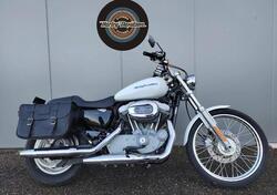 Harley-Davidson 883 Custom (2008 - 12) - XL 883C usata