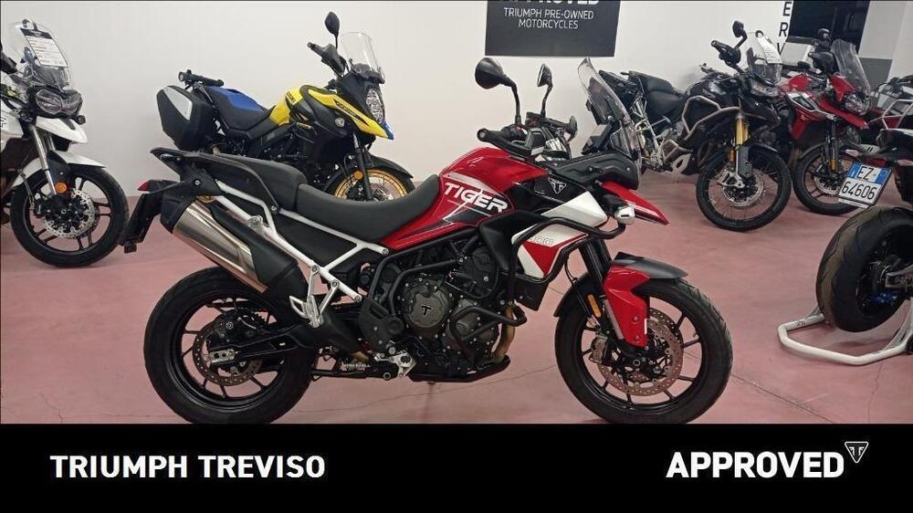 Triumph Tiger 900 GT Aragón Edition (2023 - 24)