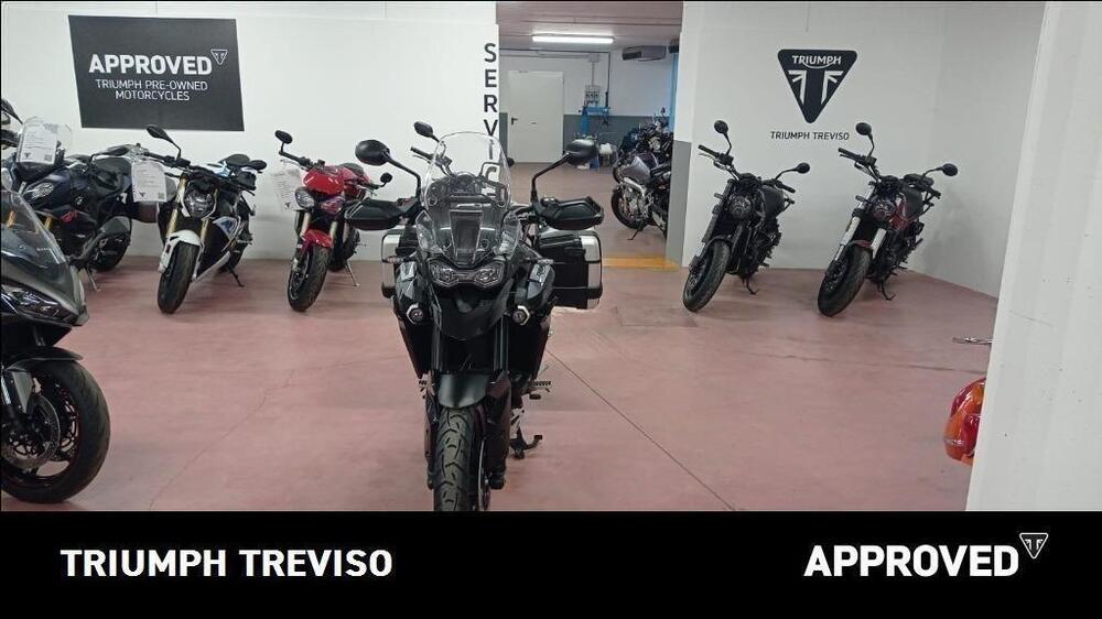 Triumph Tiger 900 GT Pro (2020 - 23) (2)