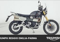 Triumph Scrambler 1200 XE (2024 - 25) usata