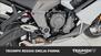 Triumph Daytona 660 (2024 - 25) (18)