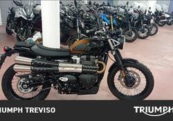 Triumph Scrambler 900 Stealth Edition (2024) usata