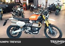 Triumph Scrambler 1200 XE (2024 - 25) usata