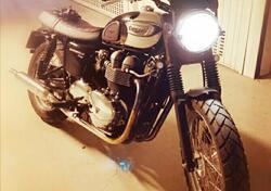 Triumph Bonneville T100 (2001 - 07) usata