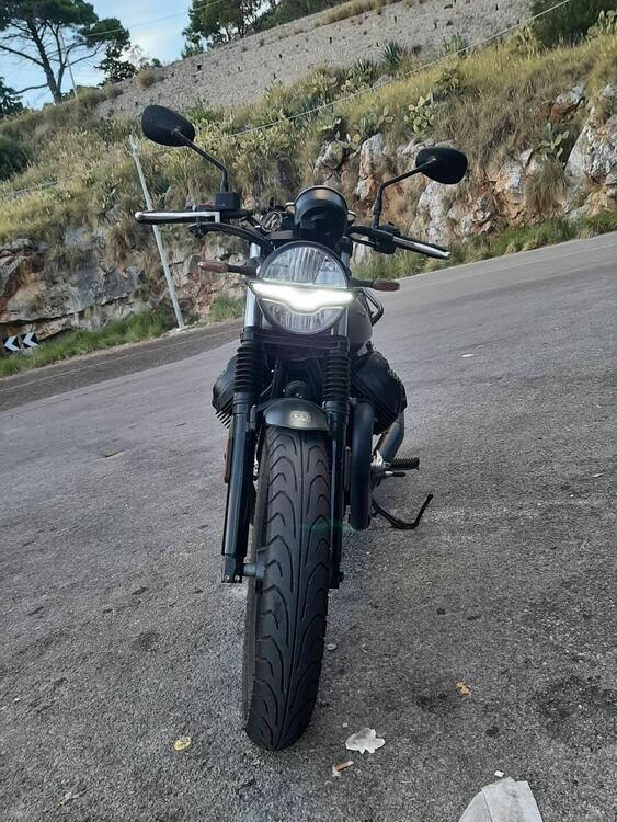 Moto Guzzi V7 Stone (2021 - 25) (3)