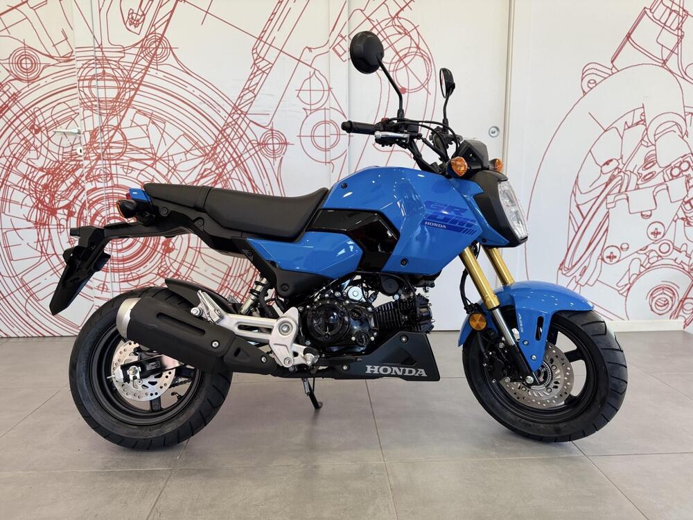 Honda MSX 125 Grom (2021 - 25)