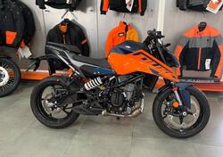 KTM 125 Duke (2024 - 25) usata