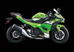 Kawasaki Ninja 500 SE (2024 - 25) nuova