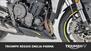 Triumph Street Triple RS (2020 - 22) (19)