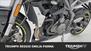 Triumph Street Triple RS (2020 - 22) (23)