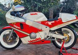 Bimota YB7 FOLGORE  N°  13  /   321 d'epoca