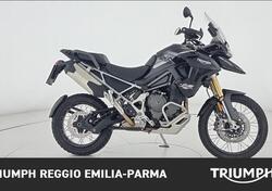 Triumph Tiger 1200 Rally Pro (2024 - 25) usata