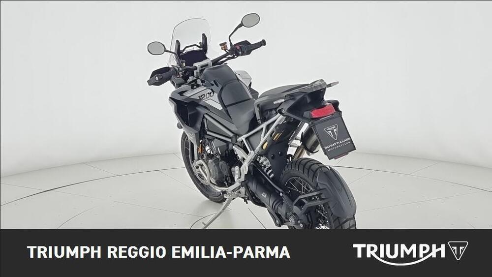 Triumph Tiger 1200 Rally Pro (2024 - 25) (3)