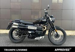 Triumph Scrambler 900 (2023 - 25) usata