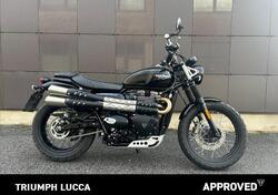 Triumph Scrambler 900 (2023 - 25) usata